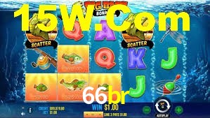 66br,66br.com